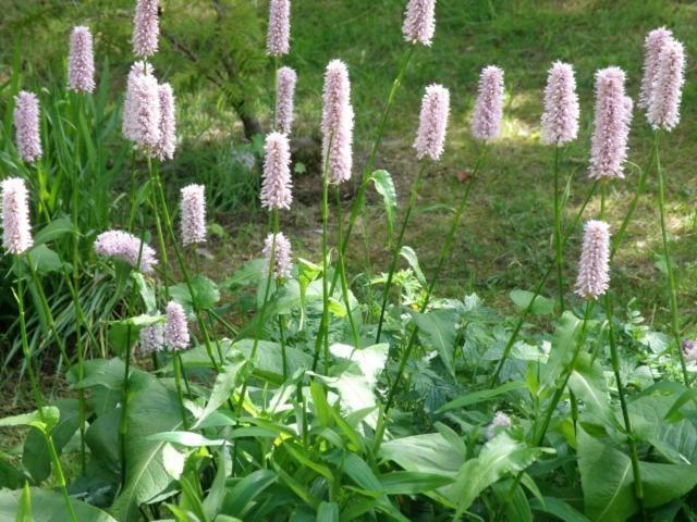 Kettle House B&B Fort Augustus Bagian luar foto